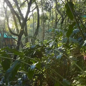 dream-catcher.hotels-munnar.com/